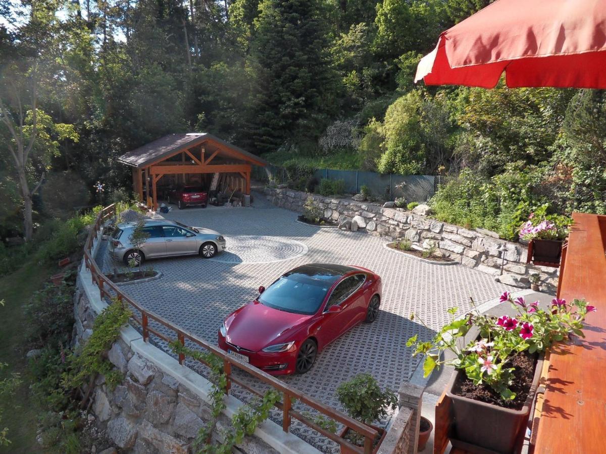 Fewo In Der Weinleiten Millstatt Exterior foto