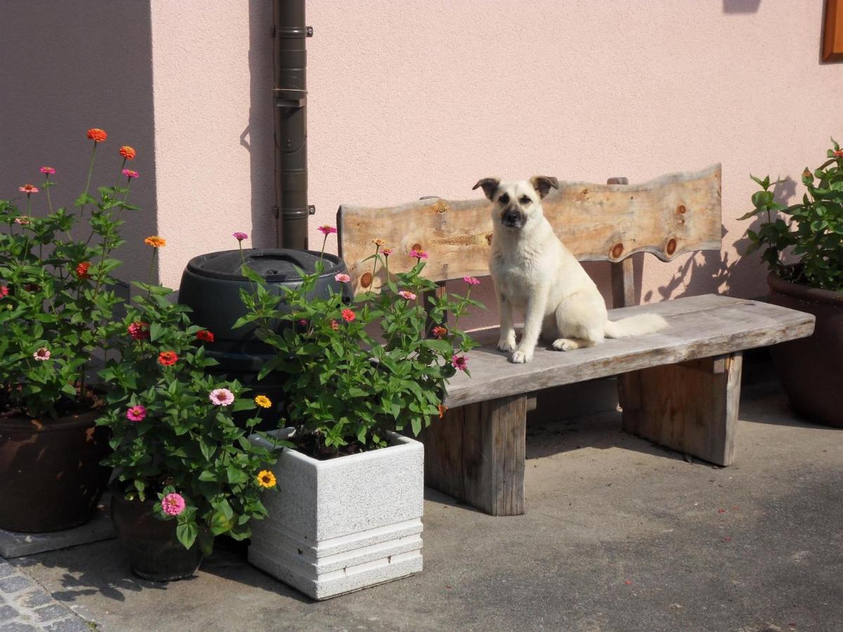 Fewo In Der Weinleiten Millstatt Exterior foto